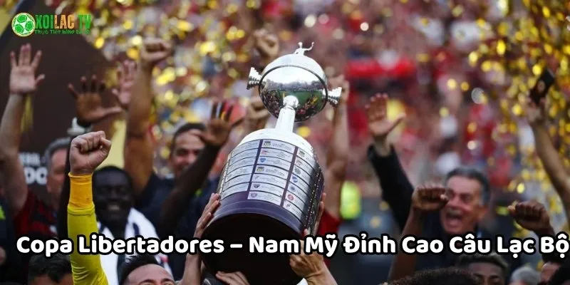 Copa Libertadores - Đỉnh cao bóng đá CLB ở Nam Mỹ